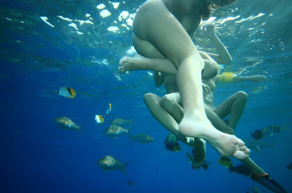 Egyptian Snorkelers Part - A Private Club for Nature Lovers