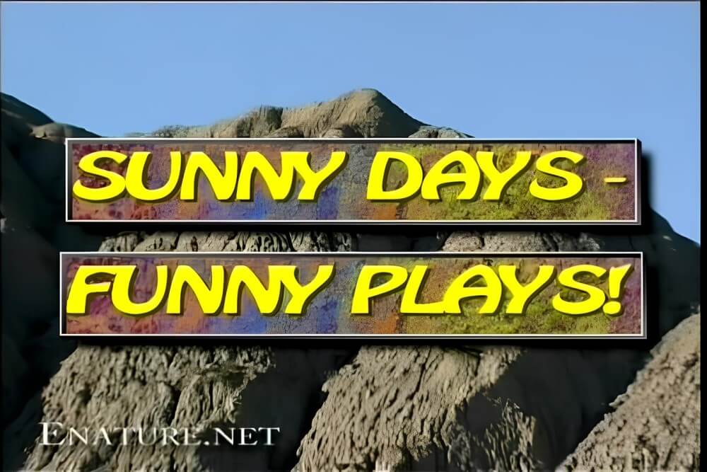 Enature - Sunny Days – Funny Plays - The True Golden Age of Naturism