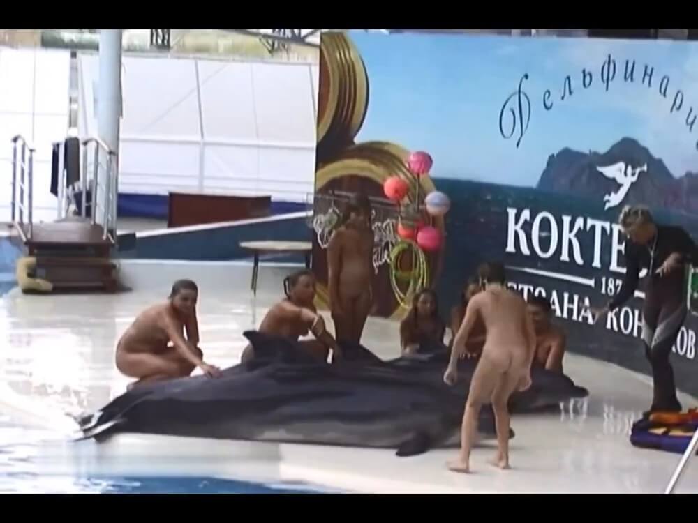 Relaxing at the dolphinarium - Clothing is a barrier for a nudist